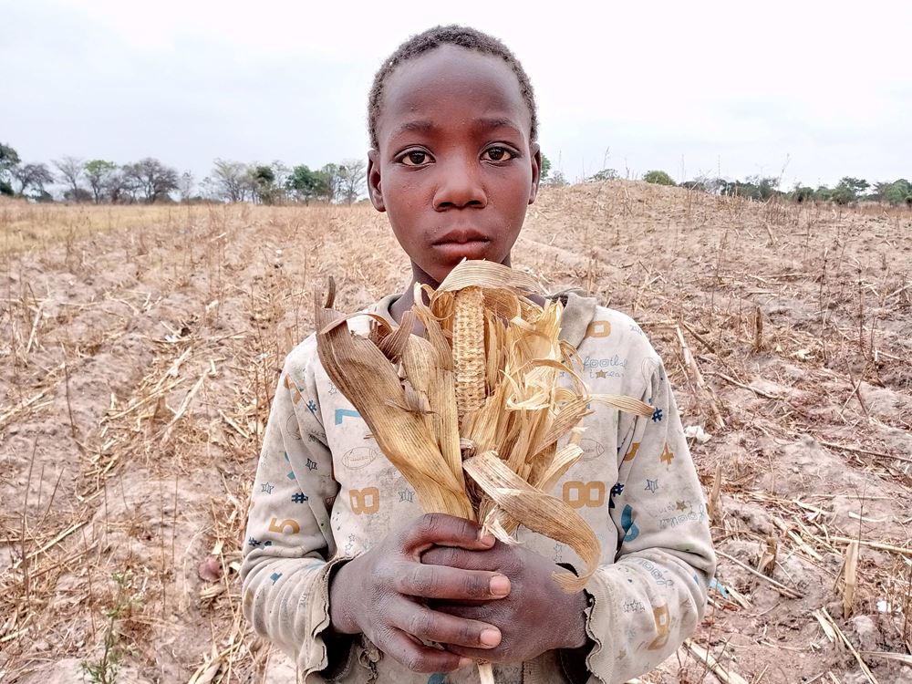Mädchen zeigt die Ernteerträge während der Dürre (Foto: Kindernothilfepartner) Mädchen zeigt die Ernteerträge während der Dürre (Foto: Kindernothilfepartner)