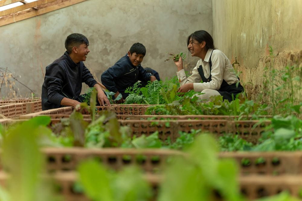 Drei Jugendliche arbeiten im Gewächshaus (Quelle: Christian Nusch) Drei Jugendliche arbeiten im Gewächshaus (Quelle: Christian Nusch)