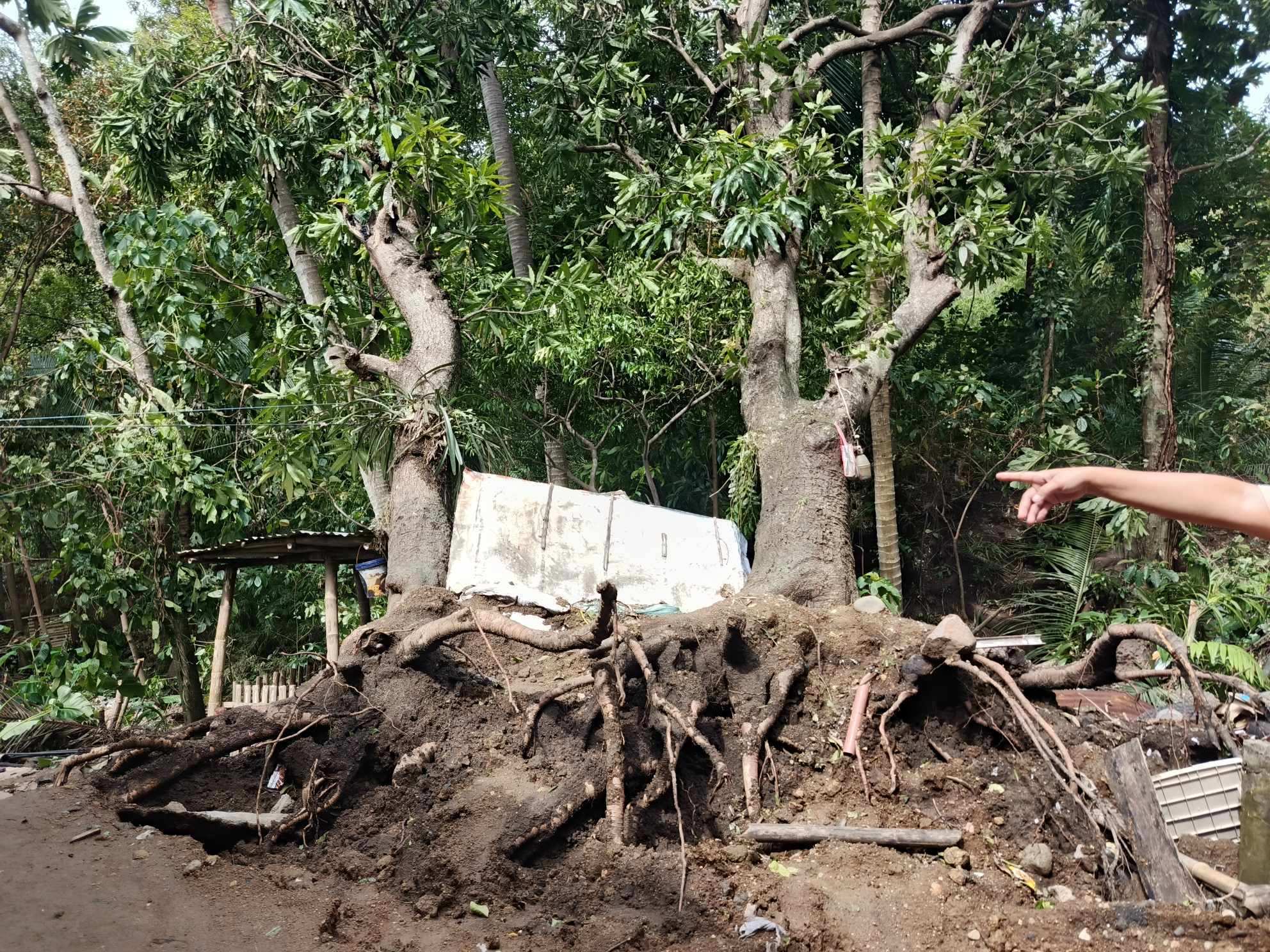 Schäden nach Tropensturm Trami auf den Philippinen (Foto: Kindernothilfepartner)