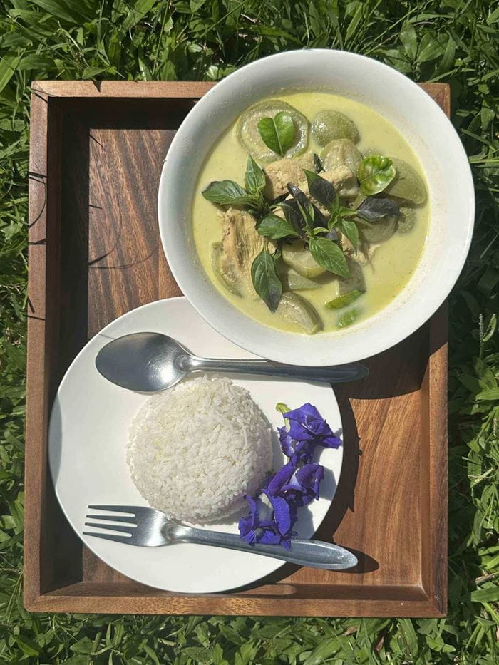 Green Curry aus Thailand. (Foto: Kindernothilfepartner) Green Curry aus Thailand. (Foto: Kindernothilfepartner)