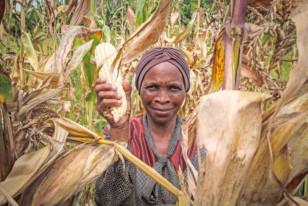 Reportage: "Eswatini: Eine Frau startet erfolgreich durch" Foto einer Frau im Maisfeld (Quelle: Ralf Krämer, Kindernothilfe) Reportage: "Eswatini: Eine Frau startet erfolgreich durch" Foto einer Frau im Maisfeld (Quelle: Ralf Krämer, Kindernothilfe)