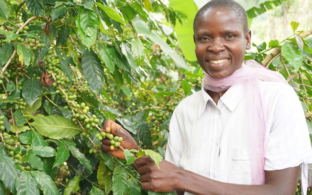Reportage Uganda: Aufschwung am Äquator; Foto: Frau steht neben Kaffeesträuchern und lächelt in die Kamera (Quelle: Ludwig Grunewald / Kindernothilfe) Reportage Uganda: Aufschwung am Äquator; Foto: Frau steht neben Kaffeesträuchern und lächelt in die Kamera (Quelle: Ludwig Grunewald / Kindernothilfe)